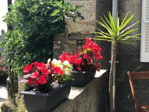 Appartements A Macina : photos des chambres