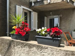 Appartements A Macina : photos des chambres