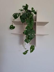 Maisons de vacances Mas De Bonnafoux : photos des chambres