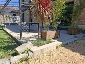 Maisons de vacances Mas De Bonnafoux : photos des chambres