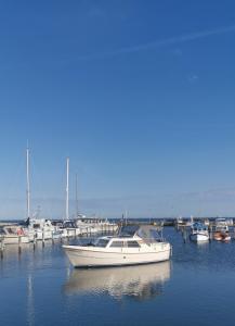 TheGilgahouse fjordroom