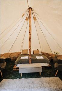 Cozy Lake View Tents