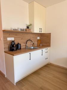 Apartmán 12