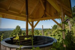 Vineyard cottage Škatlar 3