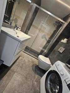 Apartament Sosnowskiego 39