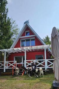 Dom w Jabłonkach Wakacje, Kaszuby, Chmielno, Sznurki Gwiezdna 24