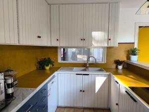 Maison darchitecte avec foret et immense jardin