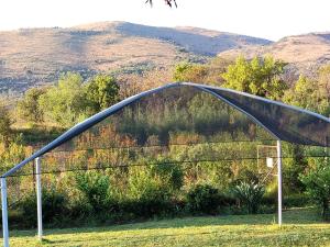 The Seed Pod Guesthouse