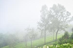 Ibex Resorts, Coonoor - Tapas