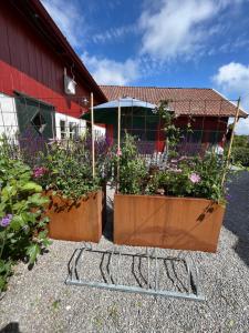 Rovor och Rum Rännet