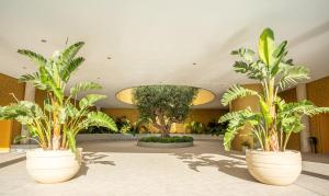 Intempo by Holuxe - 024 - 2nd floor