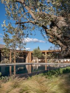 Beachfront Villa Oneiro with Sea Views