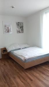 Bright & Modern Studios in Haselstauden