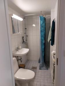 Central apartment with a balcony