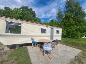 Ulinia Wilcza 4 beżowy