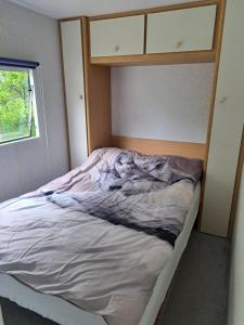 Ulinia Wilcza 4 beżowy