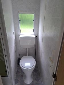 Ulinia Wilcza 4 beżowy