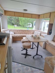 Ulinia Wilcza 4 beżowy