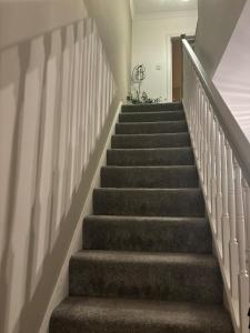 Central Lakes Staycation