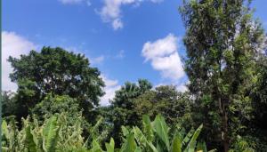 WauTaMaDuNi Rental House