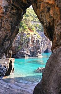 Scalea Olive and Wine