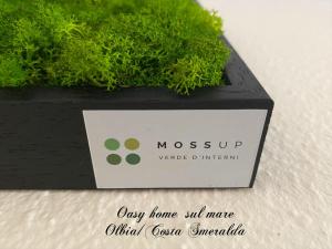 Oasy Home sul mare img28