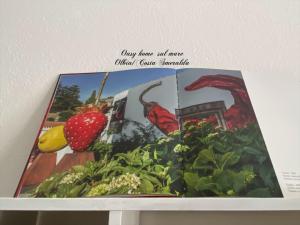 Oasy Home sul mare img36