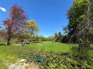 Casa nei boschi della Val Bormida