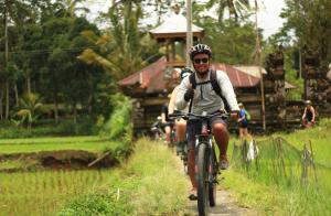 Downhill Cycling Ubud with Volcano, Jungle, Rice Terrace with meals