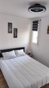 St Cyprien moderne et lumineux rez de jardin