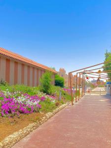 نزهه بيتش اكوا بارك راس سدر