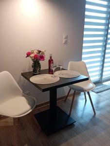 Apartament noclegi
