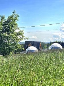 Glamping Gliczarów Klapnioki