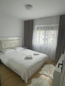 Grecu Apartament