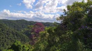 Aconchego da Montanha - chalé