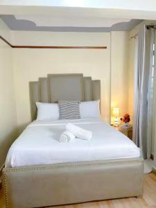 Iplus Penthouse, Ngoingwa Estate, Thika