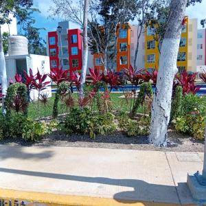 Dreams of Arena in the Jungle of Cancun