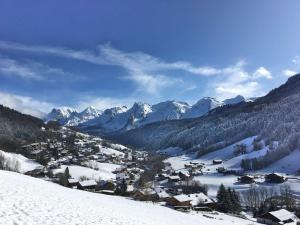 Appartements Studio confortable 4 pers. au Grand-Bornand avec balcon et garage - FR-1-458-191 : photos des chambres