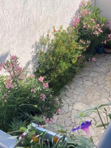 Appartements Logement hyper centre pres du Port et pres sales : photos des chambres