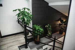 Hoppy rooms - Self Check ln