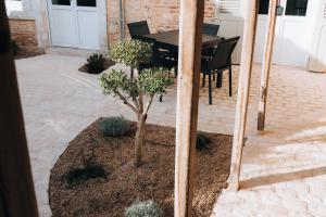 Maisons de vacances Le Jardin d'Anatole : Parking / Haut Standing : photos des chambres
