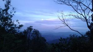Ealakka Farm Stay