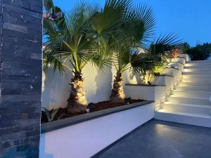 Sejours chez l'habitant Fun and sun room : photos des chambres