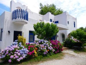 Archondissa Beach Aparthotel Nisos-Samothraki Greece