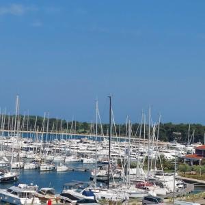 Studio apartman Dunja