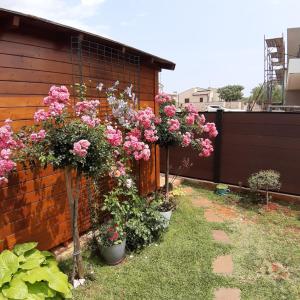 Studio apartman Dunja