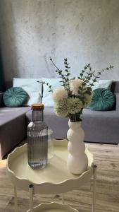 Rivershine Apartment Cracow