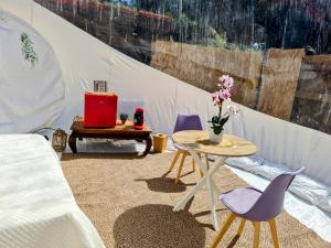 Dormir dans une bulle Grandiose, avec Spa, la tête dans les étoiles