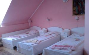 Pensiunea Turistica DIANA