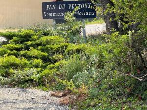 Villas VILLA PROCHE VENTOUX et VAISON LA ROMAINE avec piscine privee : photos des chambres